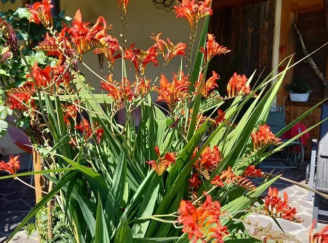 Aparthaus Am Walde & Sonnenseite Apartman *